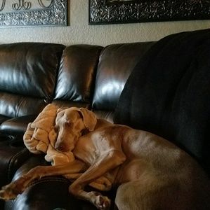 Meet your Posher, Jacqueline